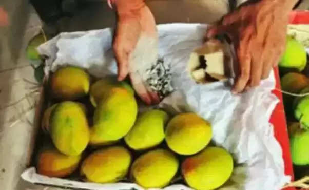 Jaipur मंडी में गैस चैंबर में पक रहे फल, मिलाया रसायन