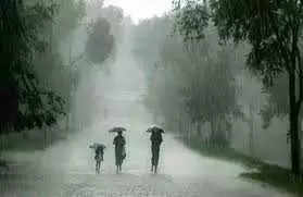 Durg छत्तीसगढ़ में मानसून की एंट्री, दुर्ग, बिलासपुर, बस्तर में येलो अलर्ट, जानें रायपुर में कब होगी बारिश