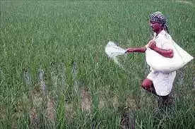 Jhalawar रासायनिक खादों से भूमि हो रही बंजर, अपनाएं जैविक खेती