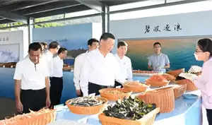 Xi Jinping inspected Changzhou city in eastern China