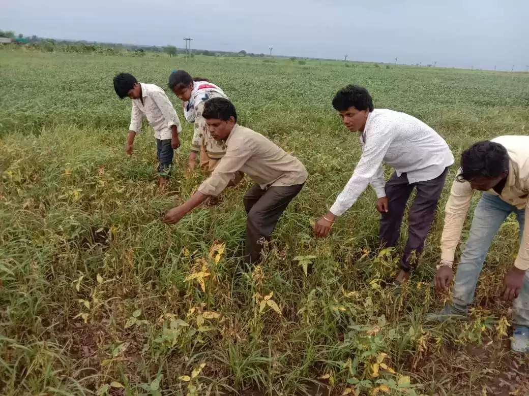 Pratapgarh उर्वरक की होने लगी कमी, किसानों में चिंता