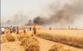 Pali बसंत में बिजली लाइनों में शॉर्ट सर्किट से खेत में लगी आग