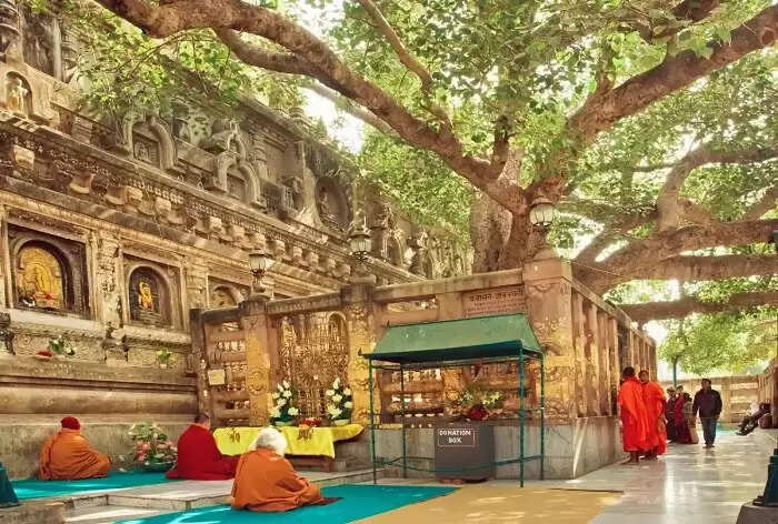 This December, you must also visit that place in India, which has a connection with Lord Buddha, you will not believe your eyes after watching the video.