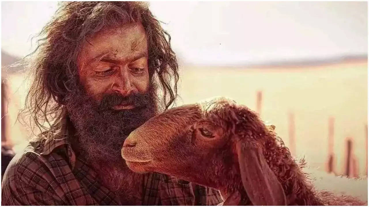 रविवार को पृथ्वीराज सुकुमारन की The Goat Life ने बॉक्स ऑफिस पर उड़ाया गर्दा, तीसरे दिन कर डाली इतने करोड़ की छापाई