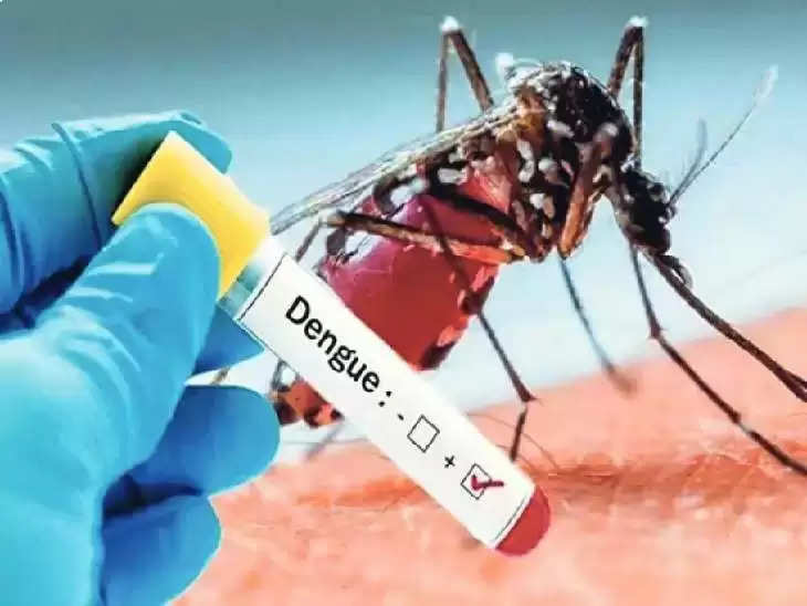 Chittorgarh चिकित्सा विभाग की और से डेंगू-मलेरिया पर लगाम कसने की तैयारी