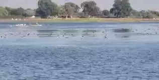 Jhalawar खंडिया तालाब की दीवार क्षतिग्रस्त, अनदेखी पड़ सकती है महंगी