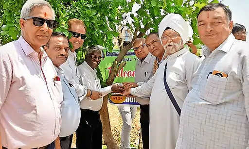 Bharatpur एलायंस क्लबों ने पौधे लगाए और पक्षियों के लिए फीडर बांधे