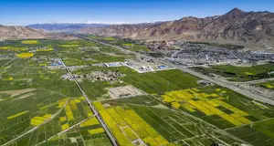 Construction of approximately 90 thousand hectares of high-standard agricultural land completed in Shigatse