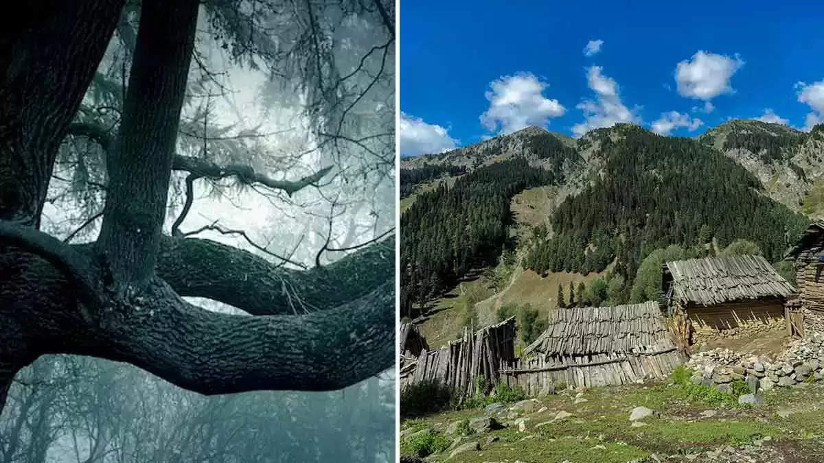 अगर आपको भी एडवेंचर करने का है शौक तो आप भी इस वीकेंड करें कश्मीर की इन भूतिया जगहों की सैर